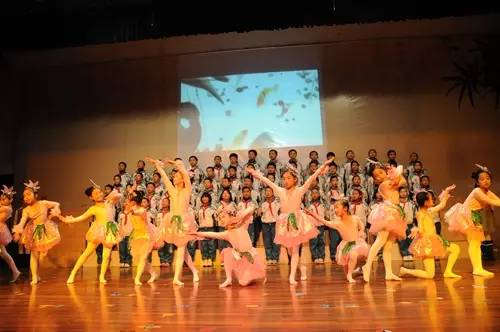 1522397264849798T5xc.jpg 13.jpg