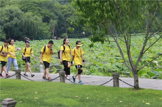 15289428501563130w05.jpg 2.jpg