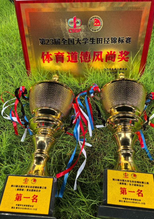 1757483679520579NZo6.png image.png